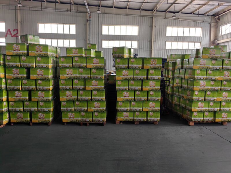 樂(lè)山到正定貨運(yùn)公司