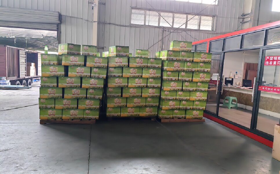 樂山到新鄉(xiāng)物流公司